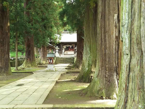 ■【山梨】山中湖水陸両用バスでざぶ~ん体験♪&行列のできる人気の詰め放題『桔梗信玄餅詰め放題』で大満喫♪2